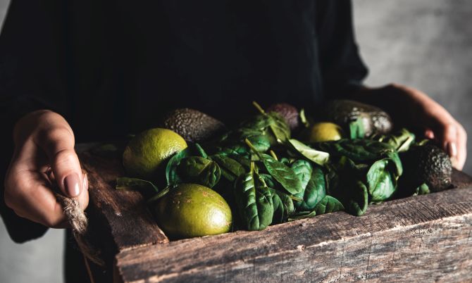 sproutzer.com